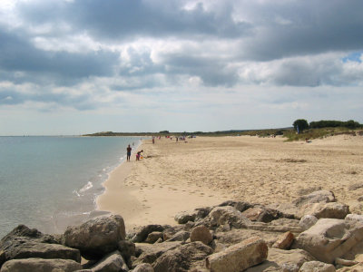 Studland0710_ 20.jpg