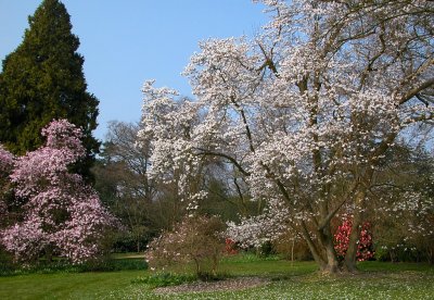 Nymans Gardens, Sussex