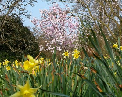 Nymans Gardens, Sussex