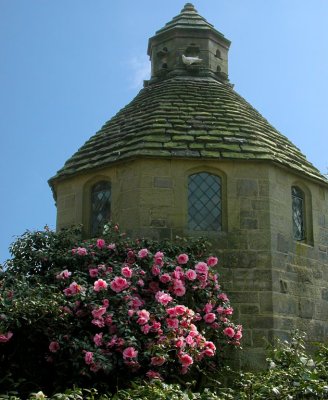 Nymans Gardens, Sussex