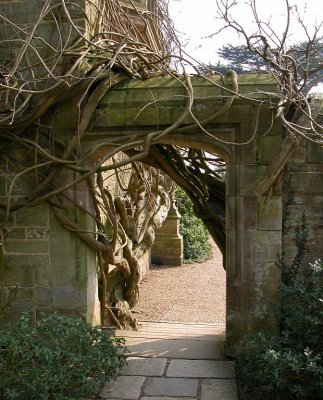 Nymans Gardens, Sussex