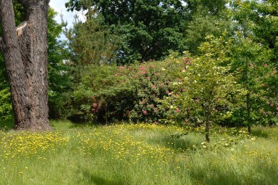 Sheffield Park, Sussex