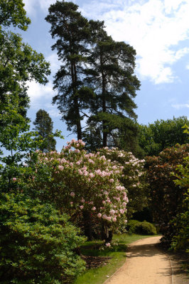 Sheffield Park, Sussex