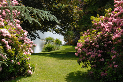 Sheffield Park, Sussex