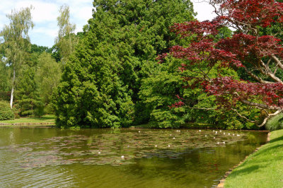 Sheffield Park, Sussex