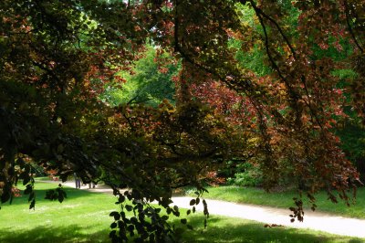 Sheffield Park, Sussex