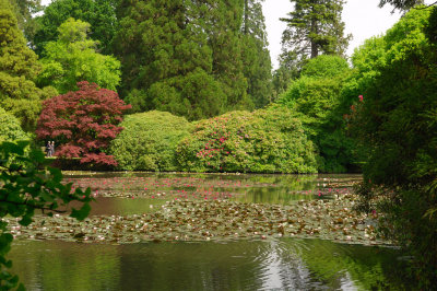 Sheffield Park, Sussex