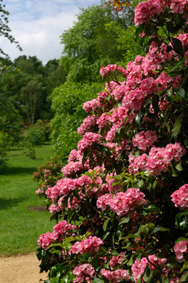 Sheffield Park, Sussex