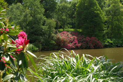 Sheffield Park, Sussex