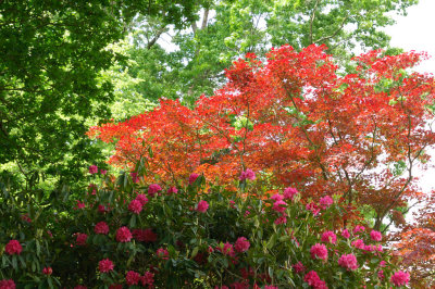 Sheffield Park, Sussex