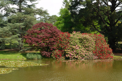 Sheffield Park, Sussex