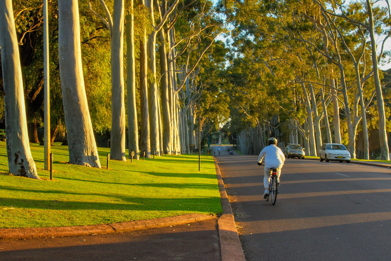 Morning cyclist