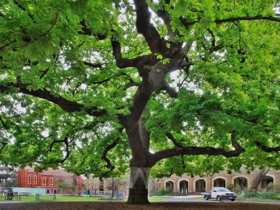 At The Trinity College