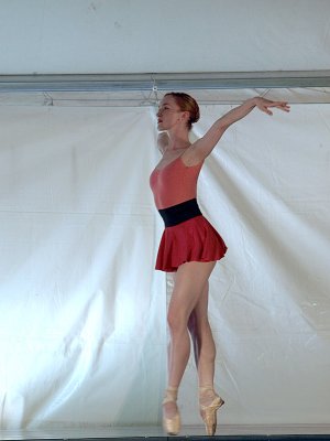 P6063966a.jpg