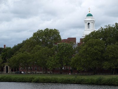 P9121101a.jpg