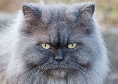 Eyes On Target