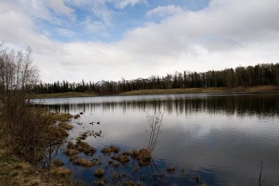 Alaska  Wilderness Lake