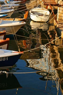 Marine Abstract