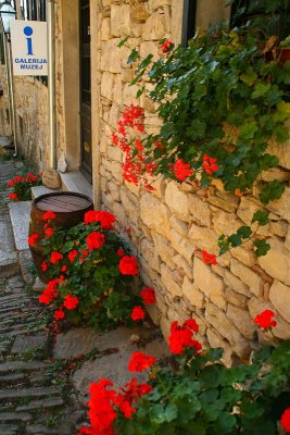 Beflowered