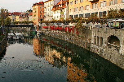 Ljubljana Reflections