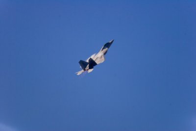 Wings over Marietta-38