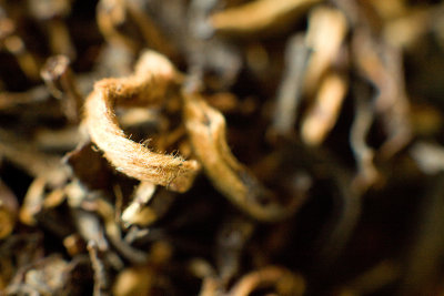 Assam Khagorigen - Th noir d'Inde