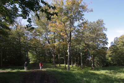 Mont Sutton