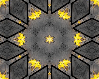 Kaleidoscopic images