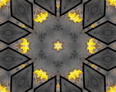 Kaleidoscopic images