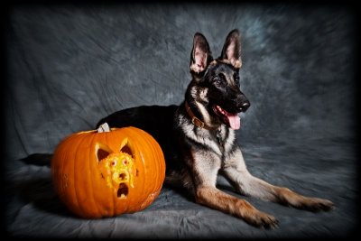 pumpkin boy