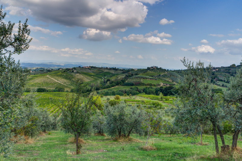 San Gimignano Countryside