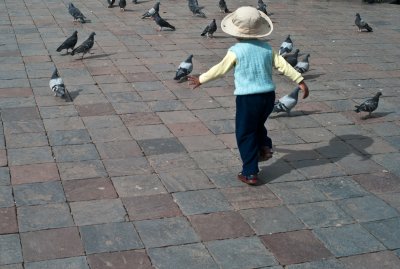 Chasing Pigeons, Cusco, Peru