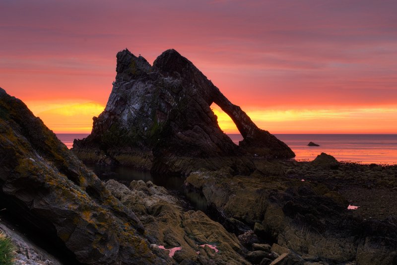 Bow Fiddle Dawn.