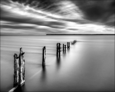 Tay Estuary Groynes.