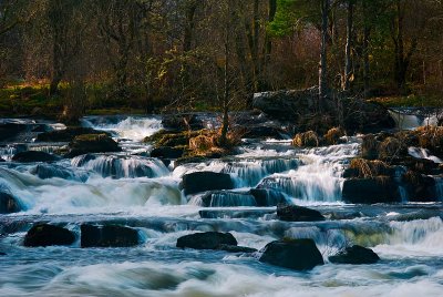 _DSC5805.jpg