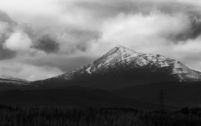 _DSC5879.jpg