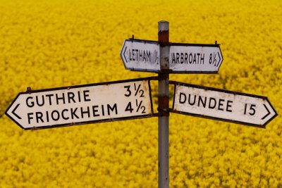 Which Way?
