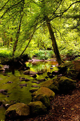 Alyth Den.