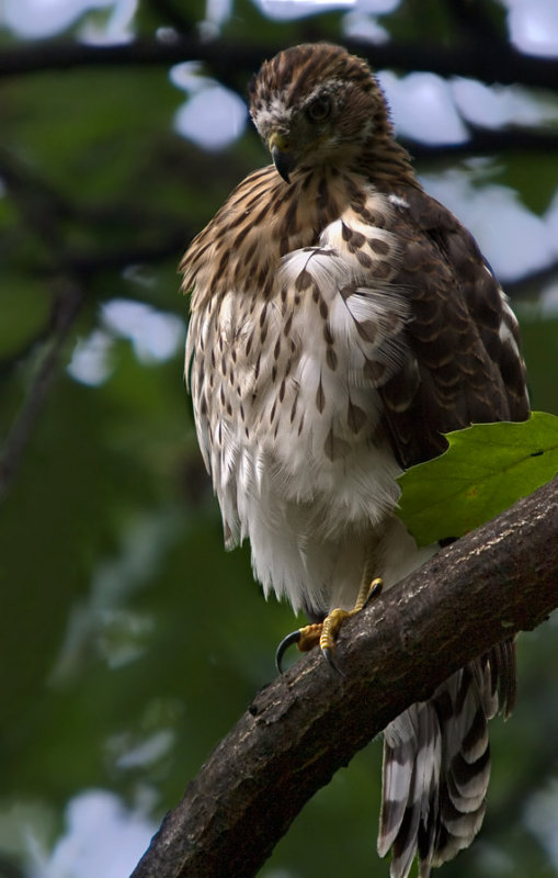 _7041977-copy.jpg