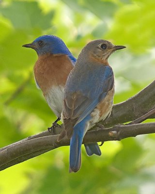 _6251120-copy.jpg