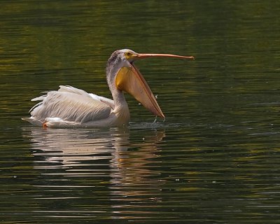 _7031767-copy.jpg
