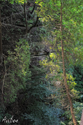 Starved Rock 03.jpg