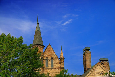 Oberlin Roofs 5-26-08.jpg