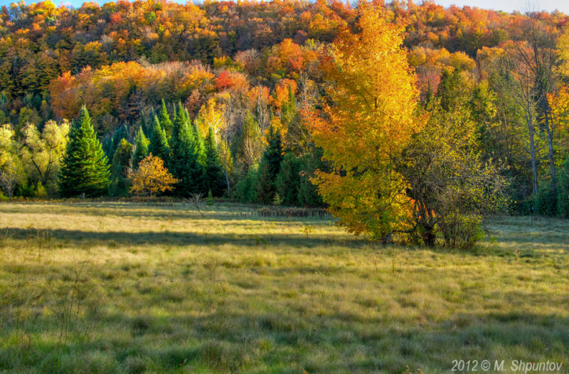 Forks Of Credit Park