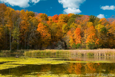 Kortright Conservation Center in Fall