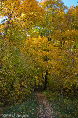 Bruce Trail in Fall