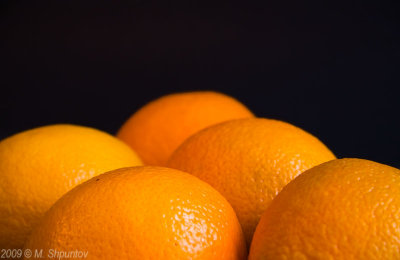 I Love Oranges