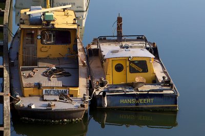 IMG_7966.jpg