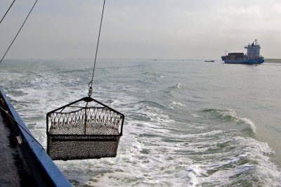 IMG_8038.jpg