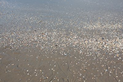 IMG_0411.jpg